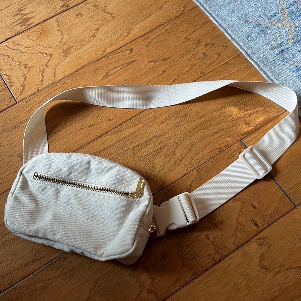 Waist/crossbody bag